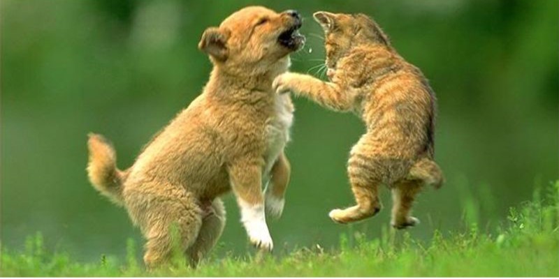 Chốt ngay số đẹp dựa vào tình huống giấc chiêm bao Chốt ngay số đẹp dựa vào tình huống giấc chiêm bao